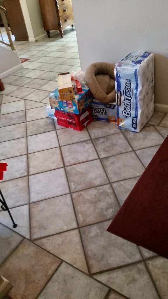 20170630_103317.jpg