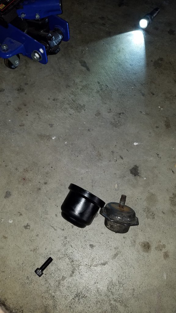 20170630_115501.jpg