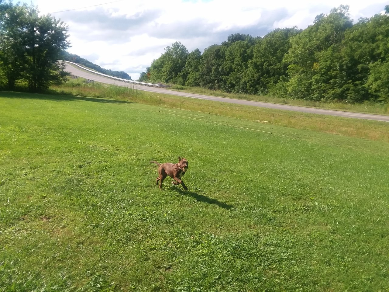 20170630_174138.jpg