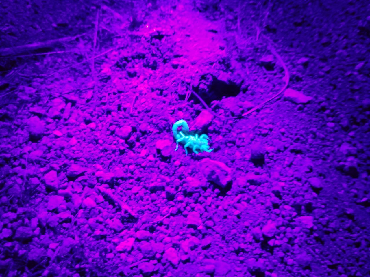 20170630_221044.jpg