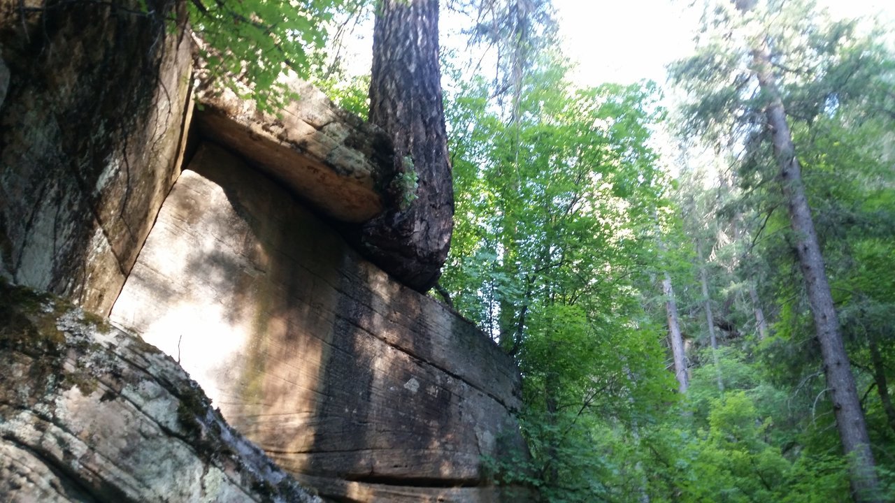 20170701_164234.jpg