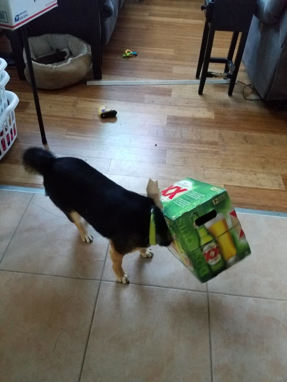 20170702_065737.jpg