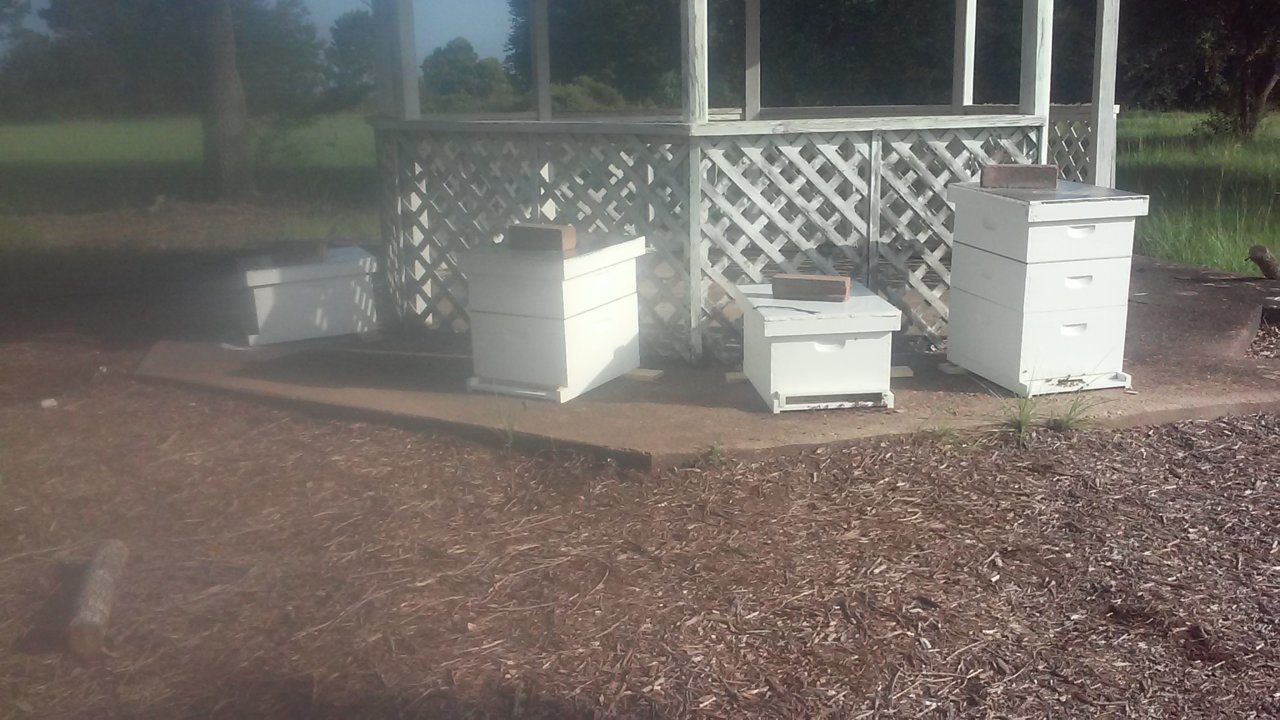 20170702_083732.jpg