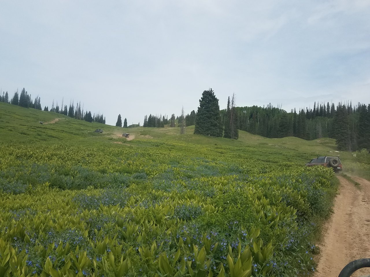 20170702_102803.jpg