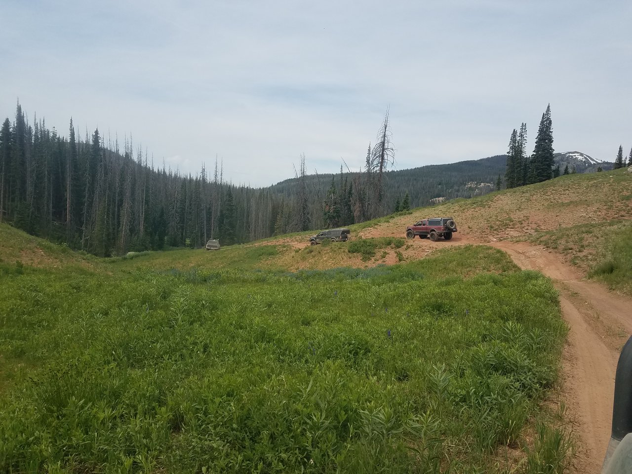 20170702_104138.jpg