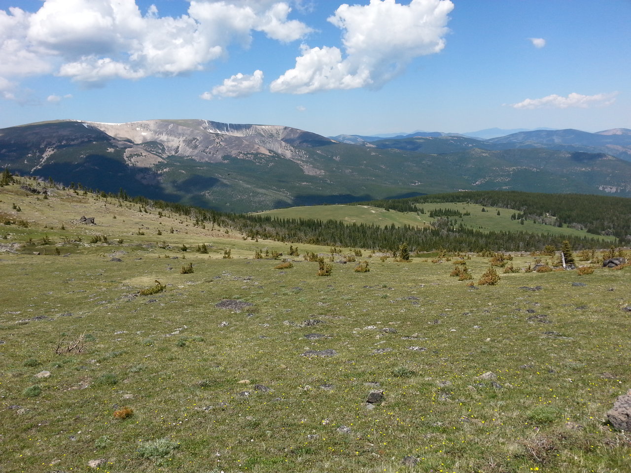 20170702_131540[1].jpg