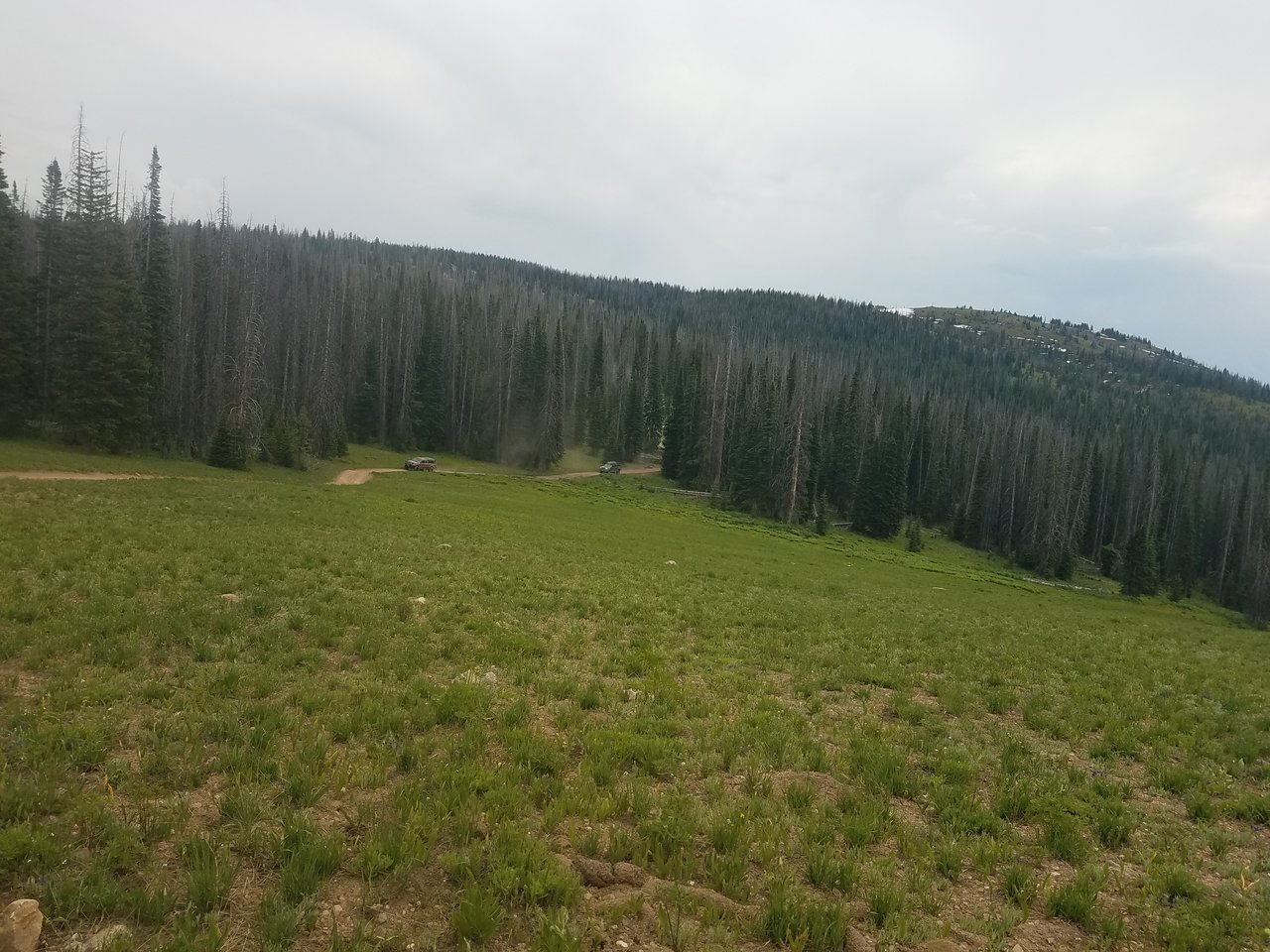 20170702_141609.jpg