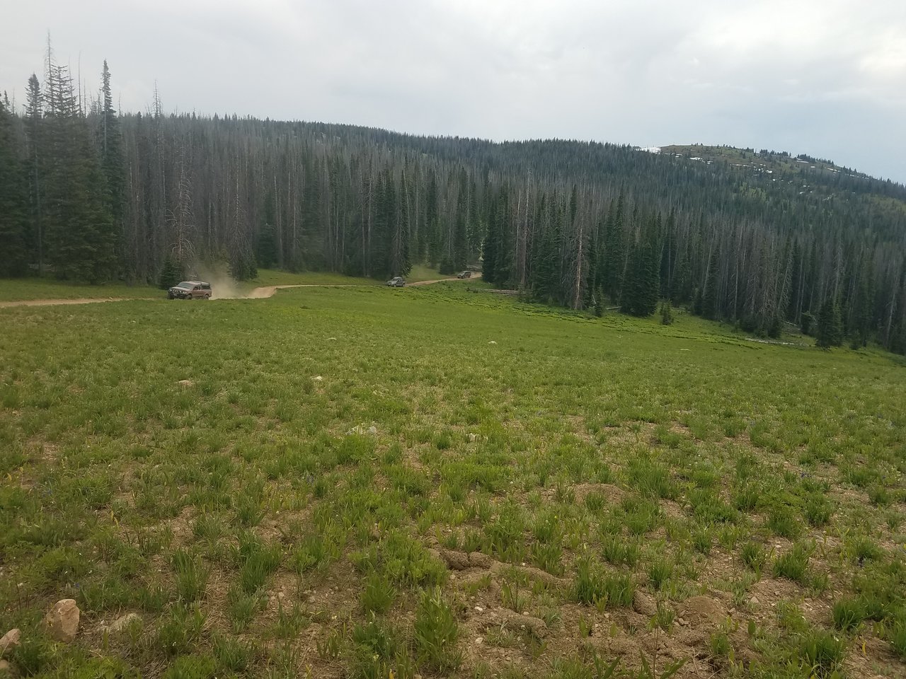 20170702_141618.jpg