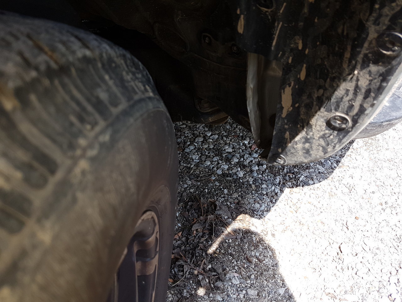 20170702_143622[1].jpg