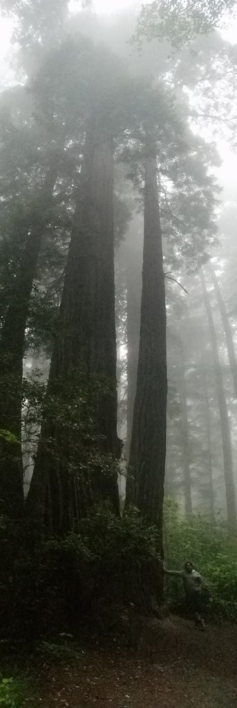 20170702_204456.jpg