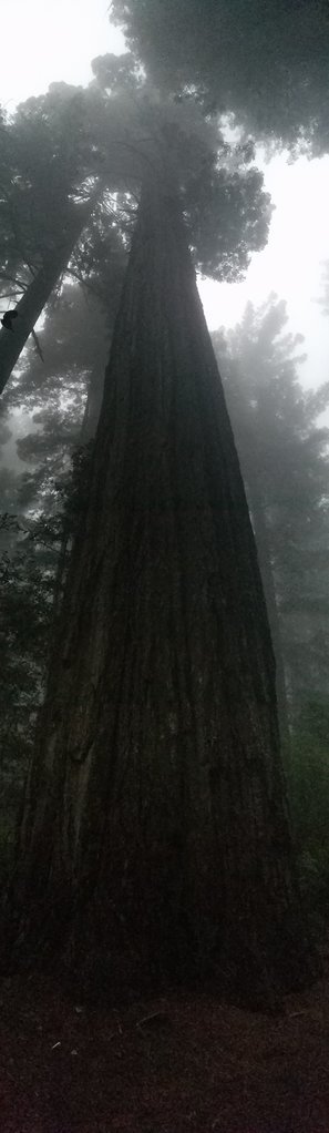 20170702_205823.jpg