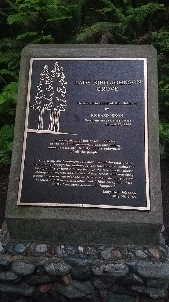 20170702_210121.jpg