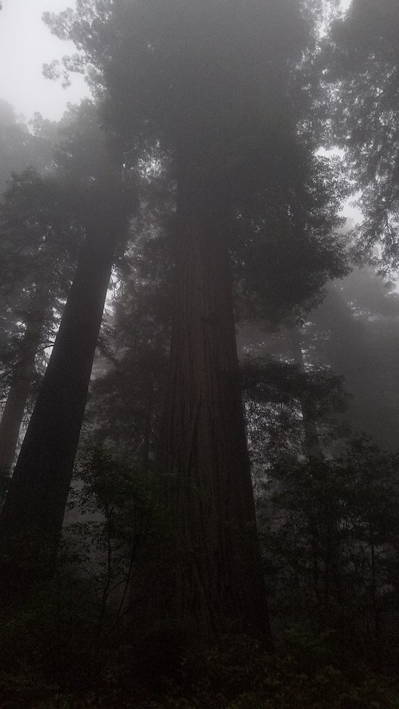 20170702_210153.jpg