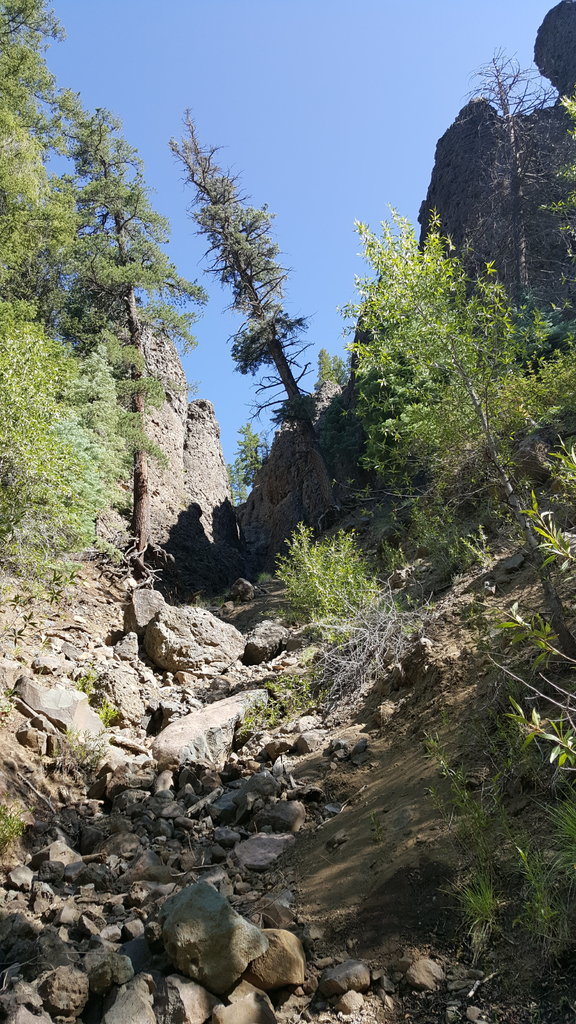 20170703_092216.jpg
