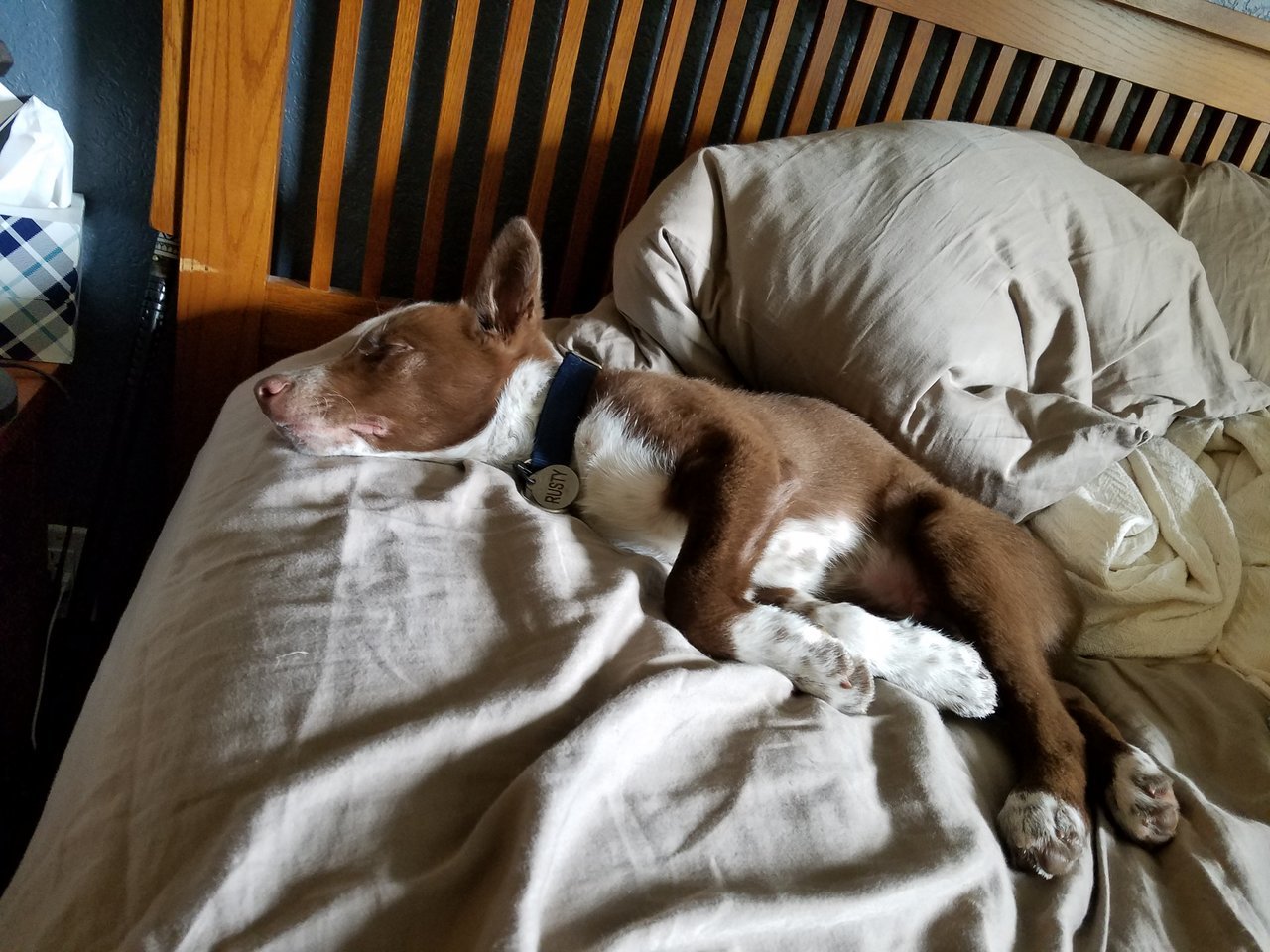 20170703_144023.jpg