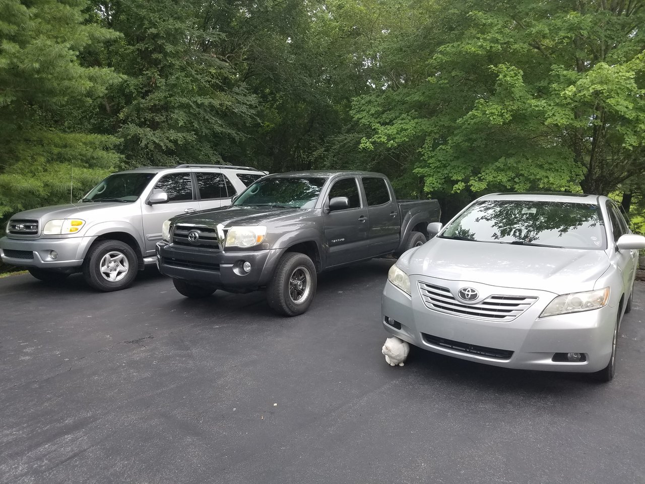 20170703_183620.jpg