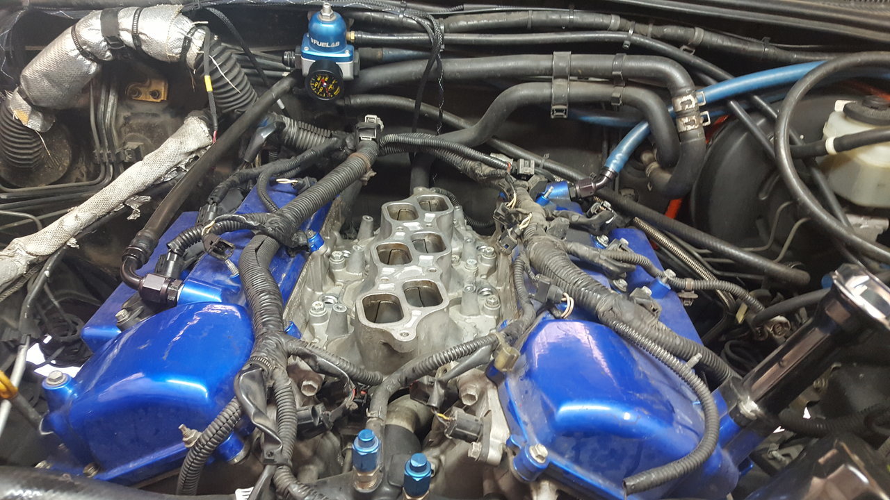20170704_142613.jpg