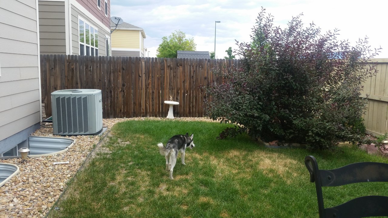 20170704_154157.jpg