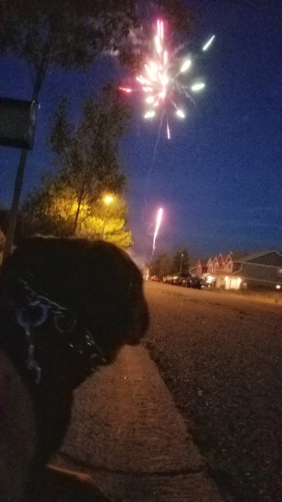 20170704_221326-01.jpg