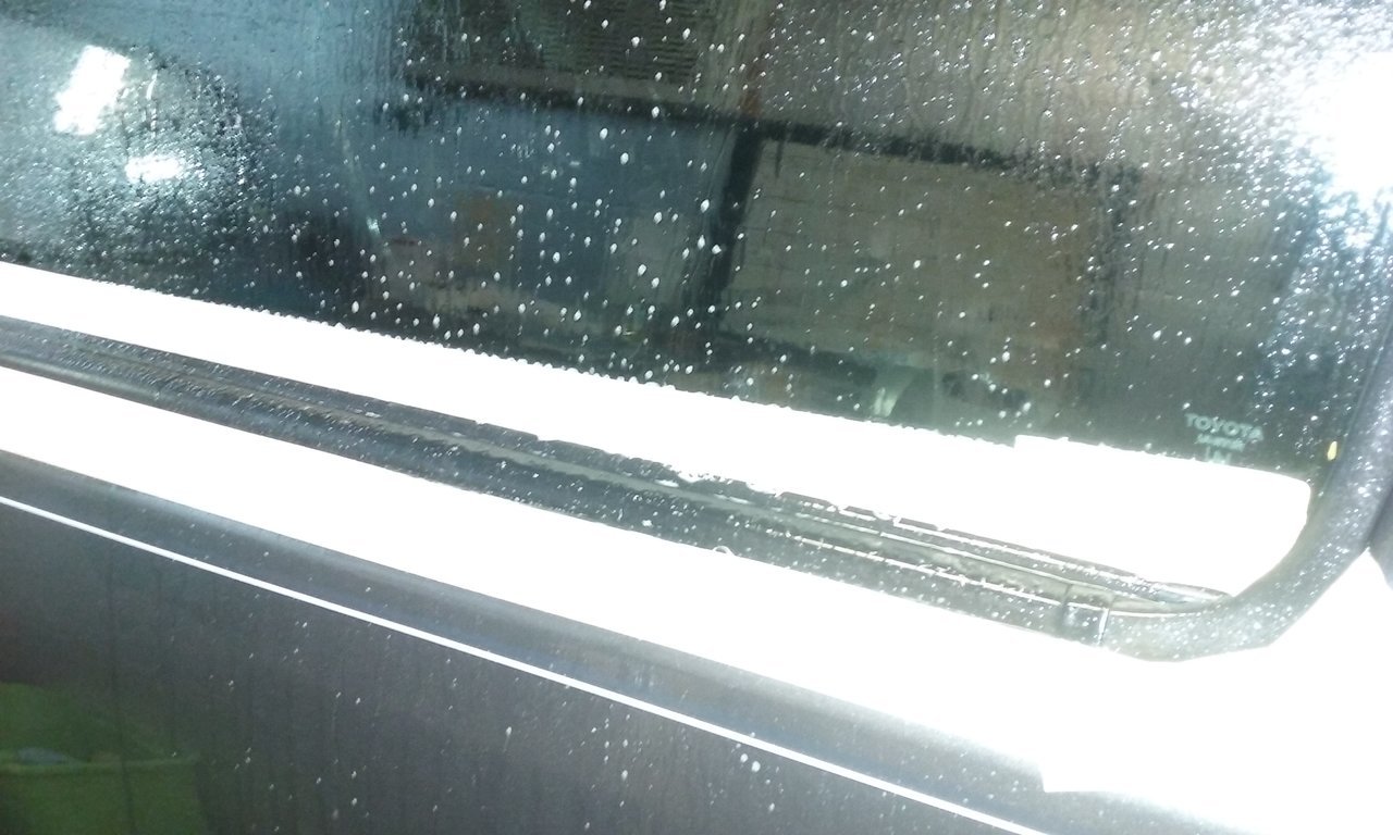 20170705_093039.jpg