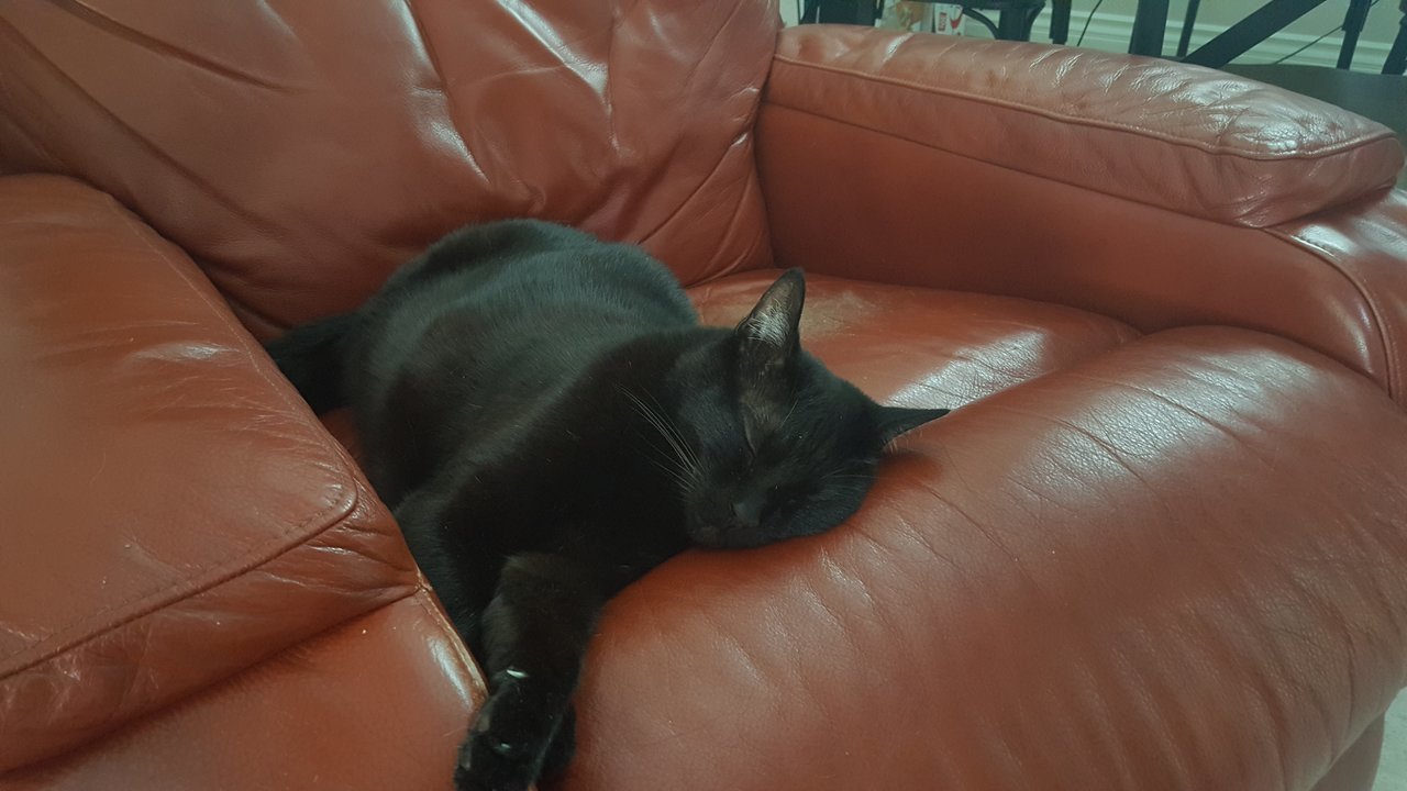 20170705_164502.jpg