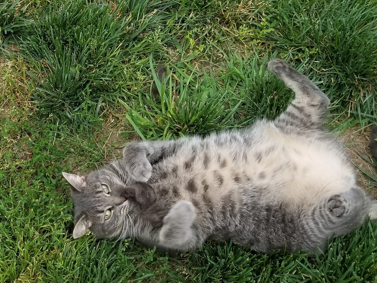 20170705_185929.jpg