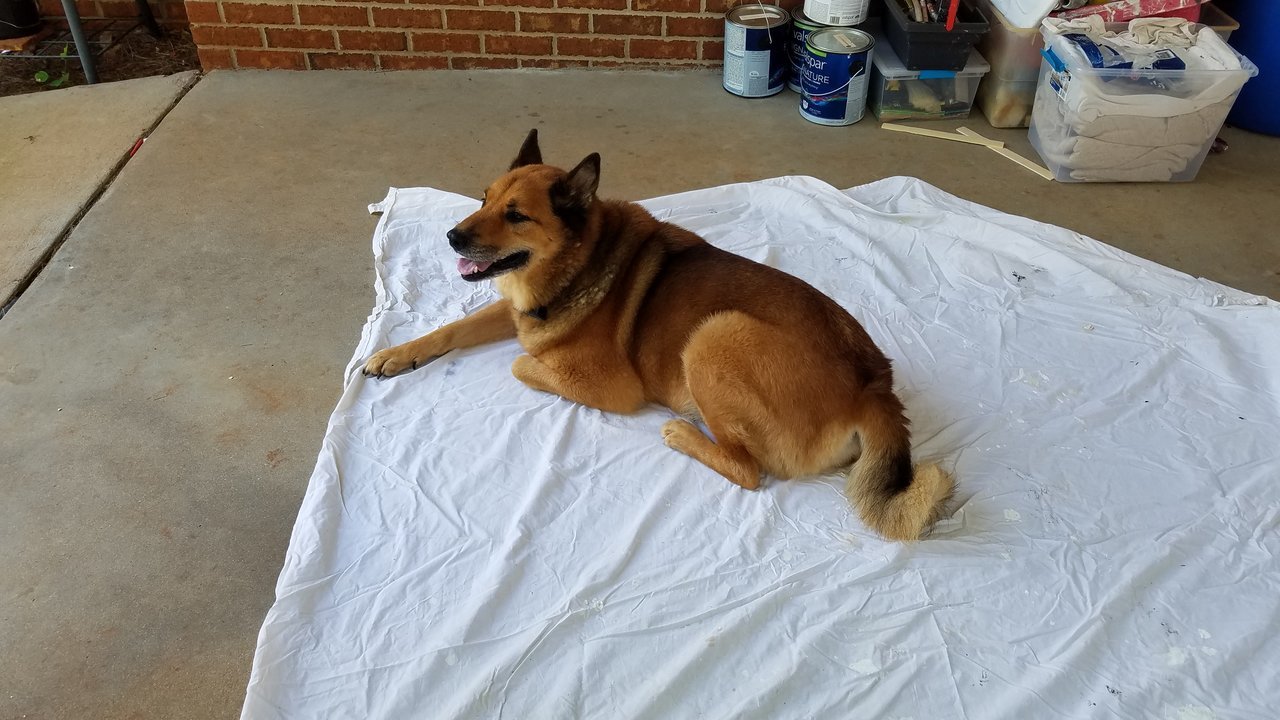 20170706_103459.jpg