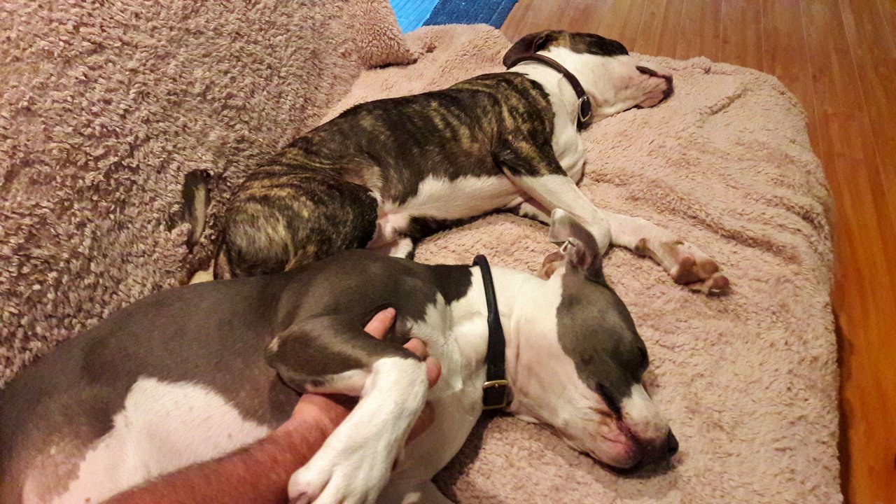 20170707_203134.jpg