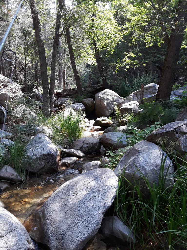 20170709_101731.jpg