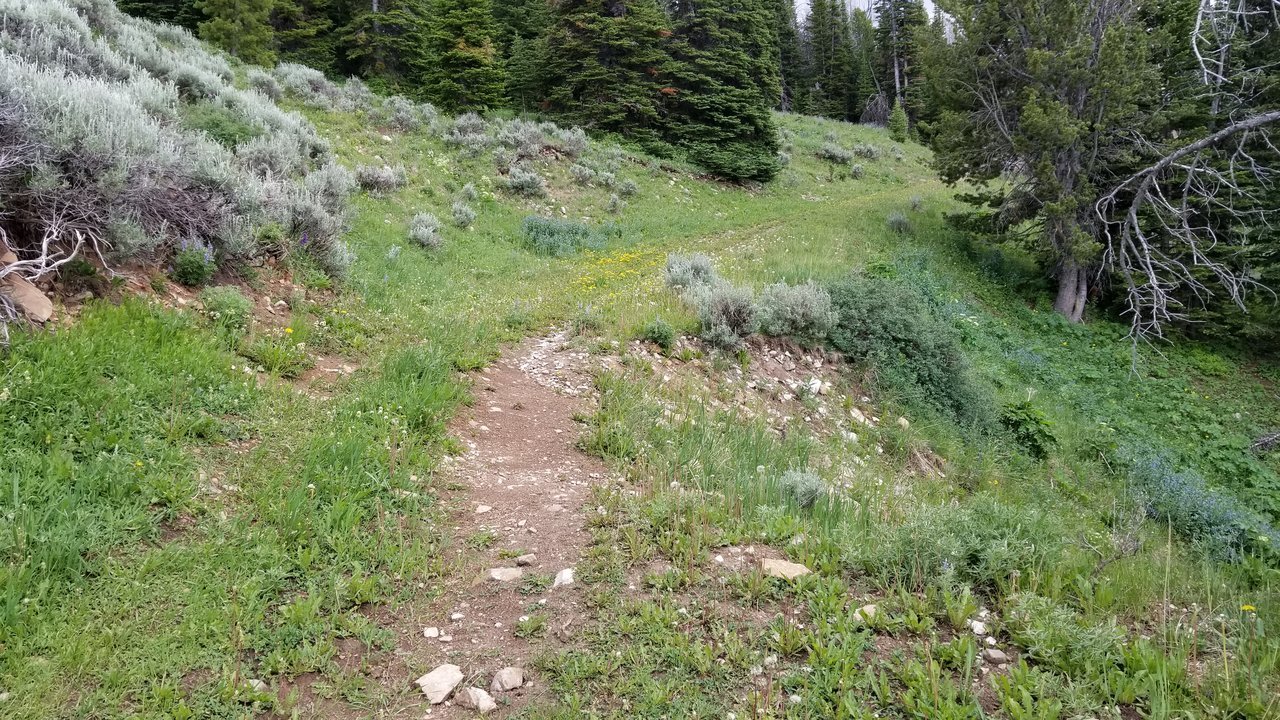 20170709_120402.jpg