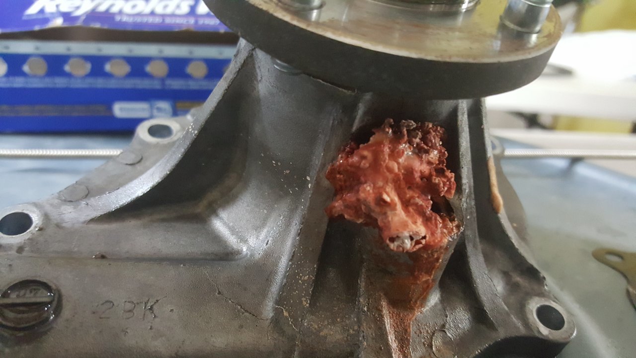 20170709_140627.jpg