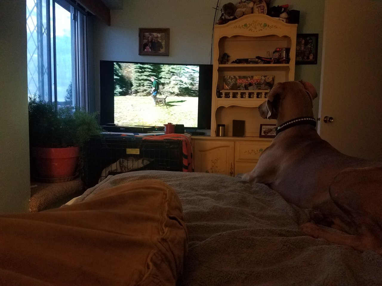 20170709_204325.jpg