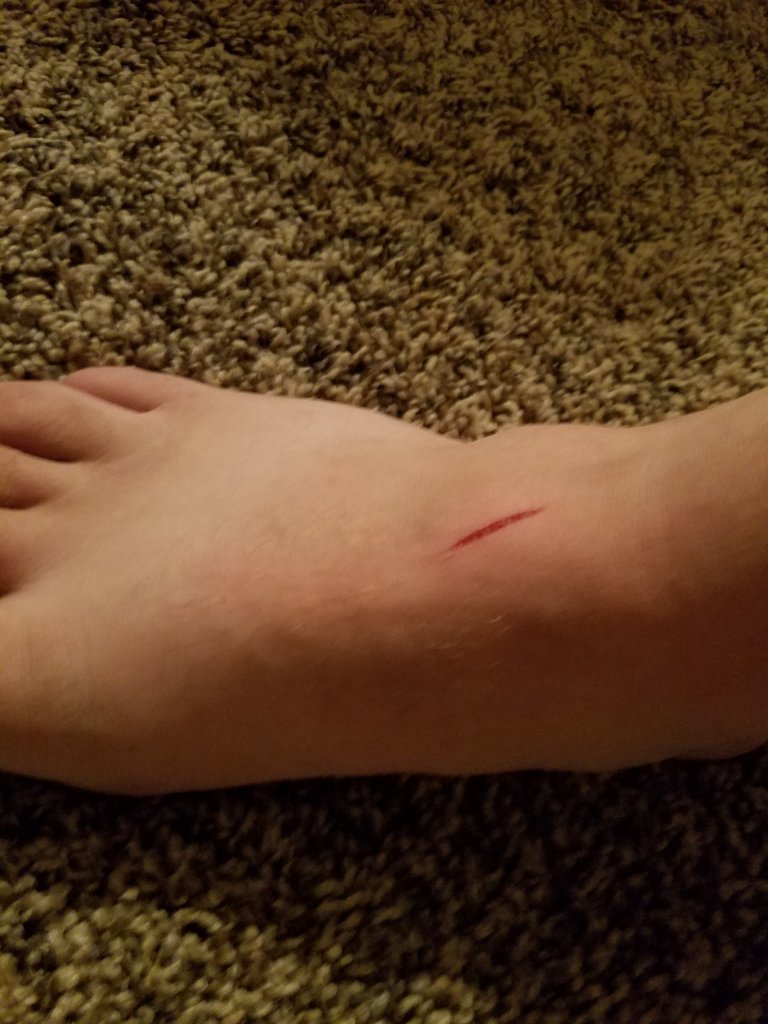 20170709_220207.jpg