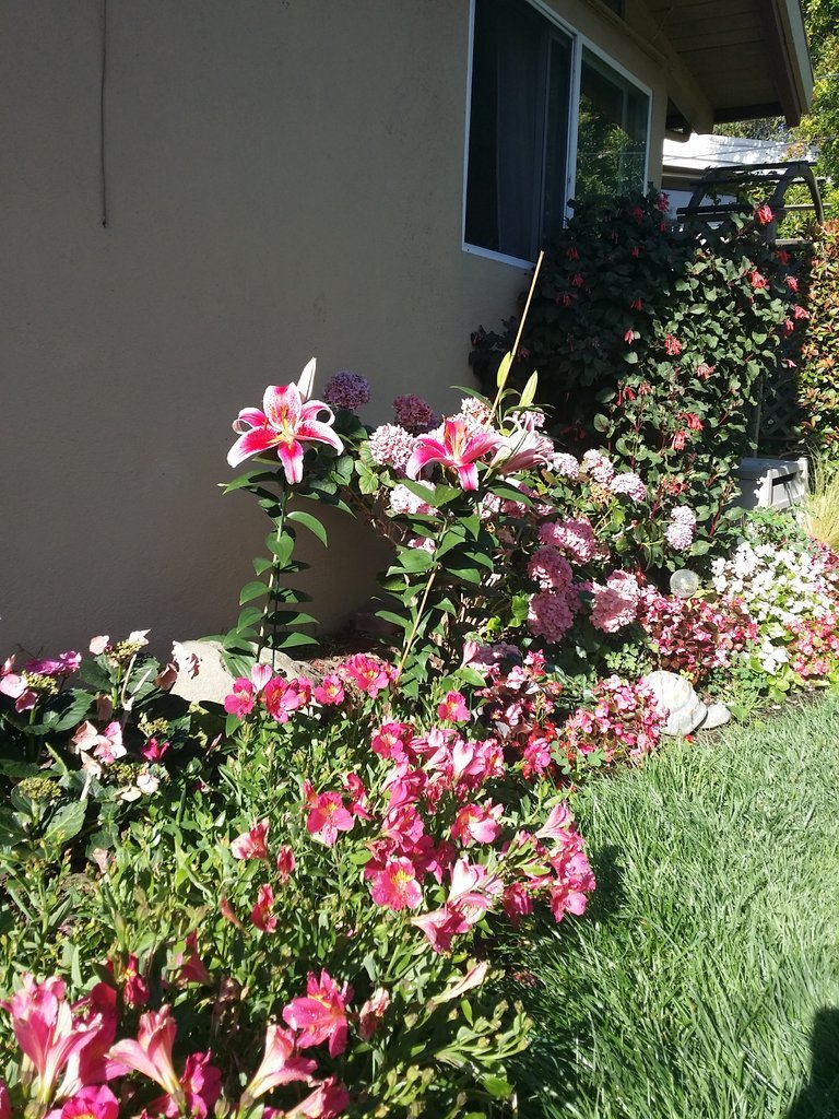 20170710_084710.jpg