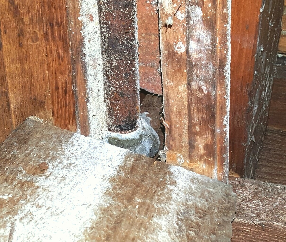 20170711_112648.jpg