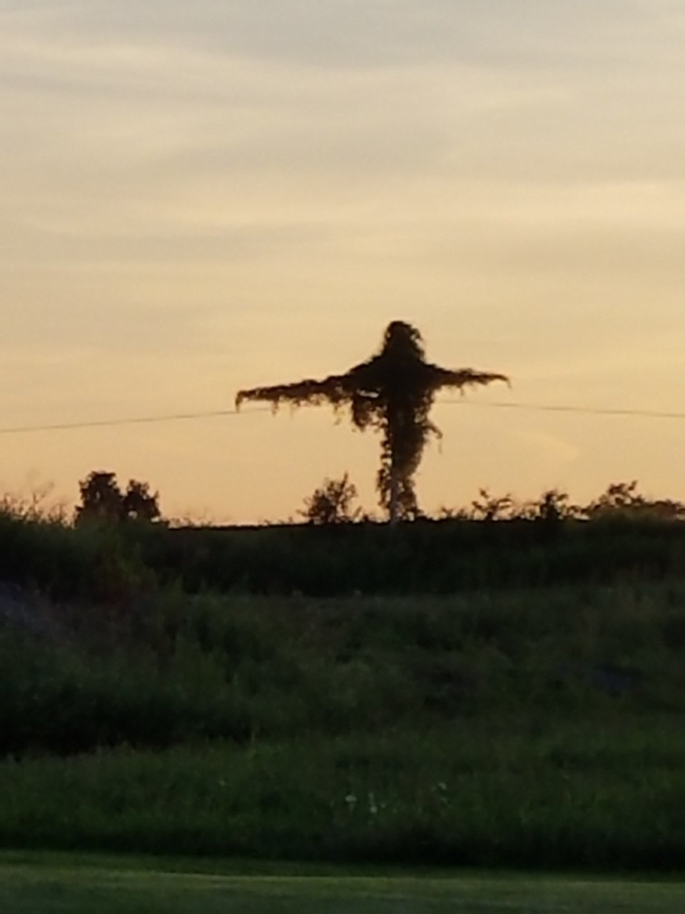 20170711_200302.jpg