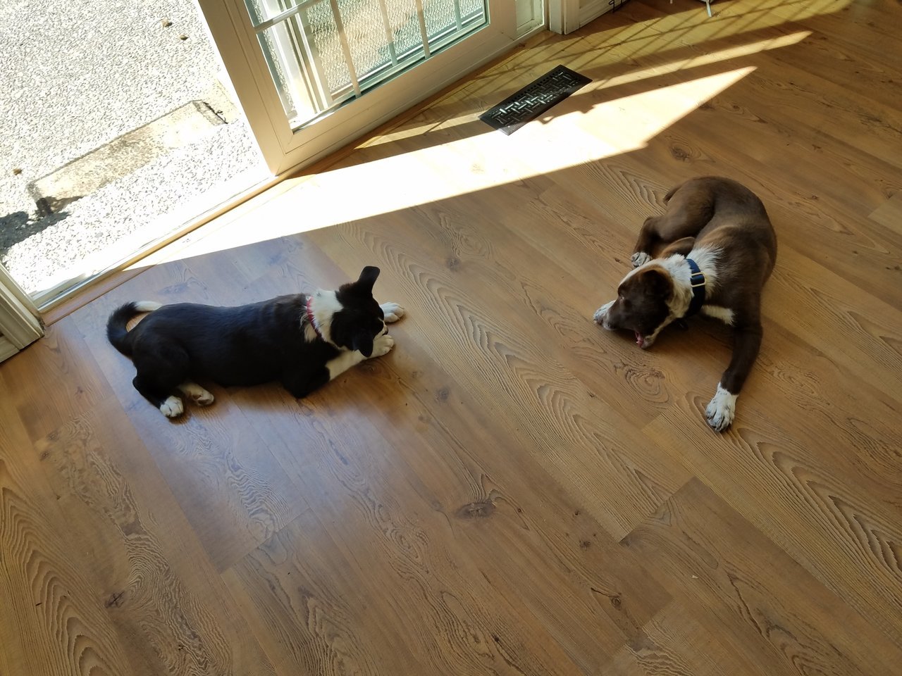 20170714_104243.jpg