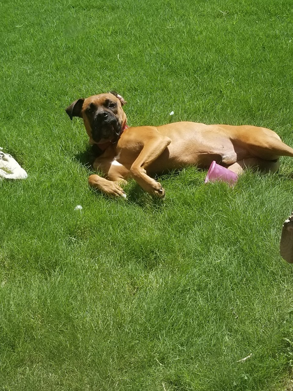 20170714_145254.jpg