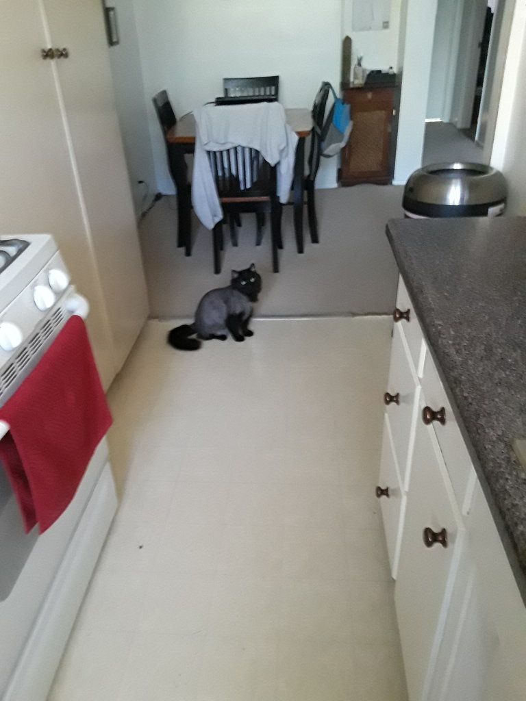 20170715_092216.jpg