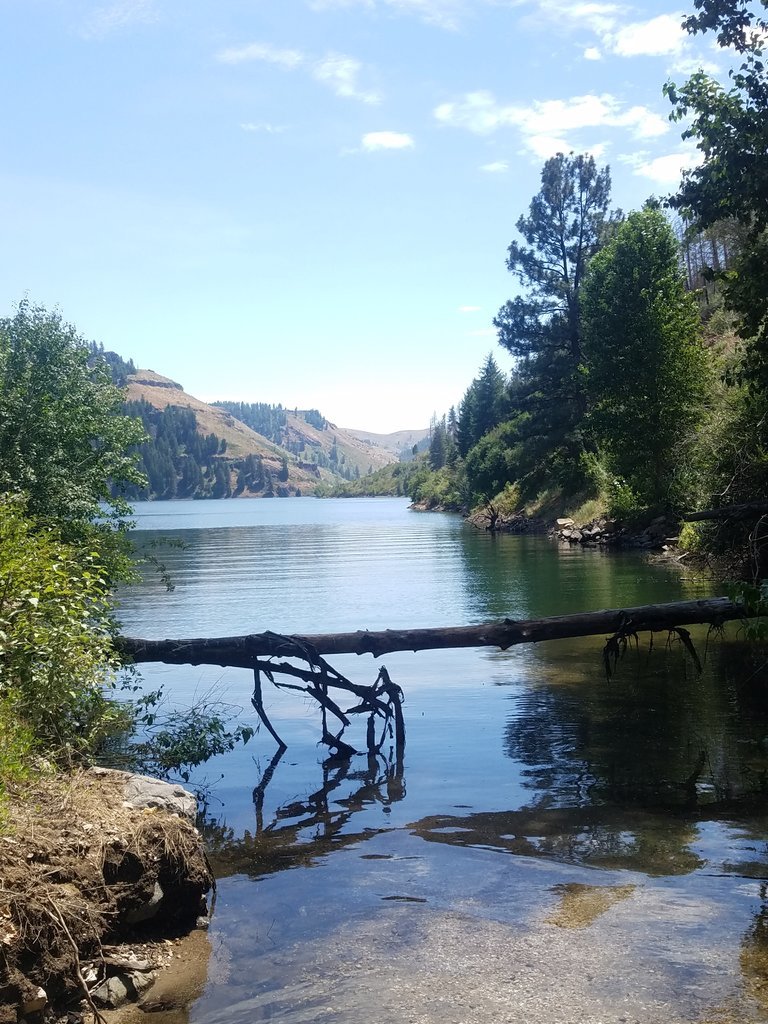 20170716_140704.jpg
