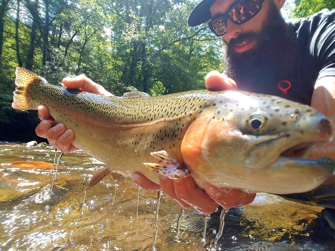 20170717_123839.jpg