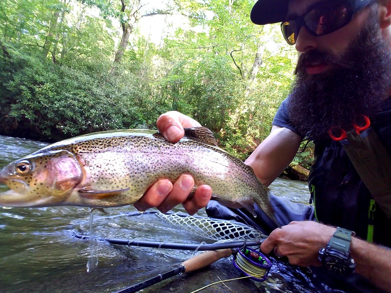 20170717_180929.jpg