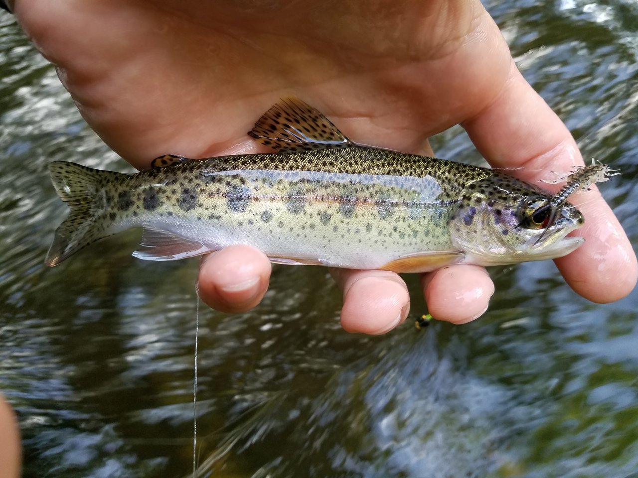 20170717_181254.jpg