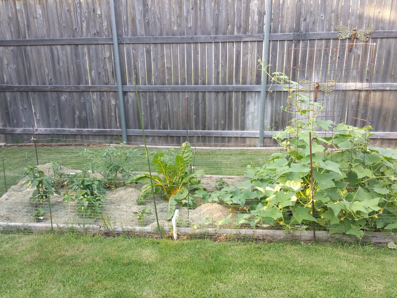 20170717_185701.jpg