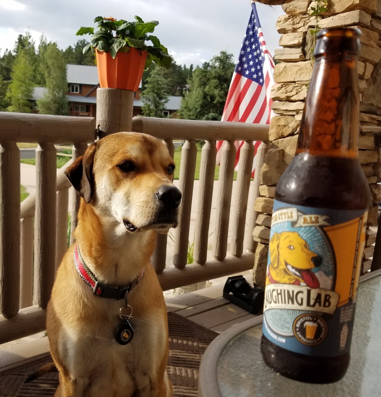 20170718_205949.jpg