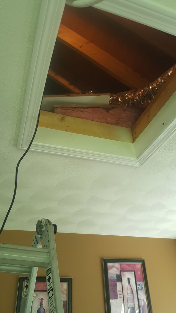 20170719_160502.jpg
