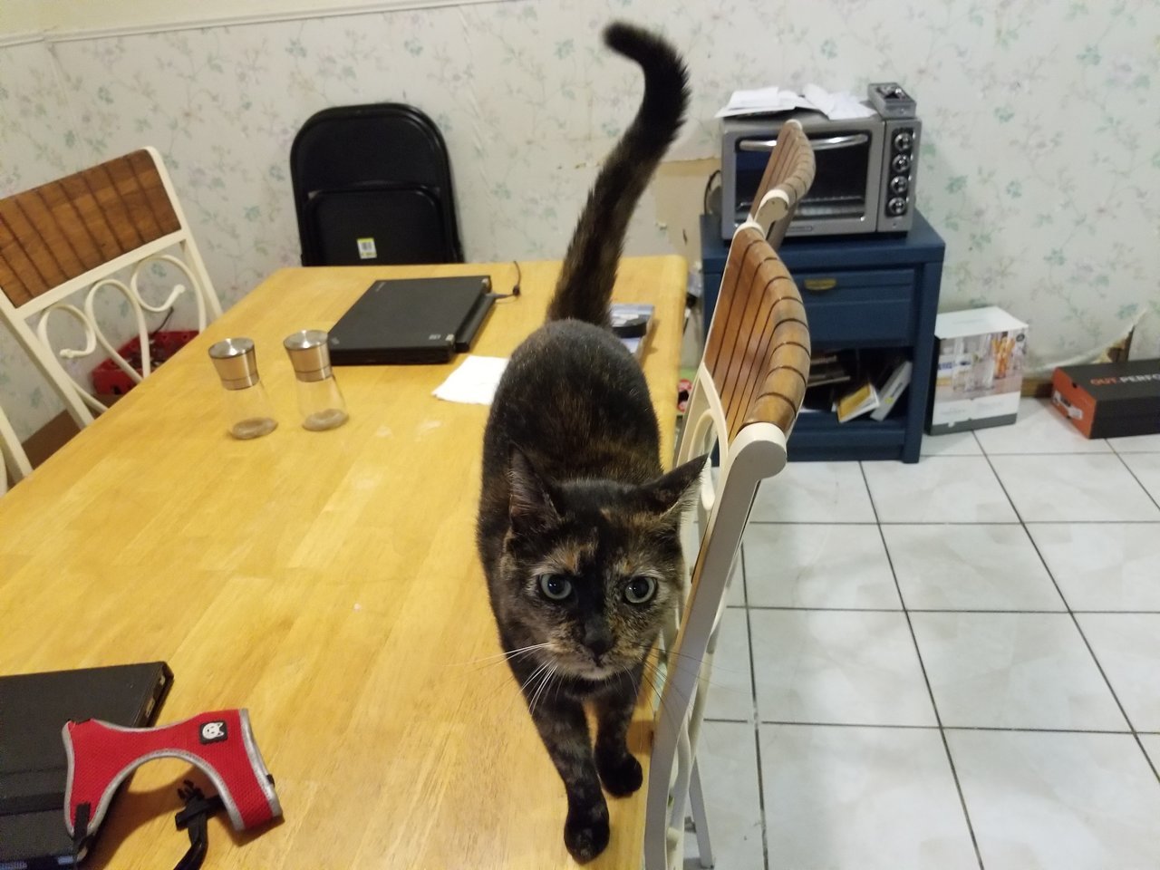 20170719_200937.jpg