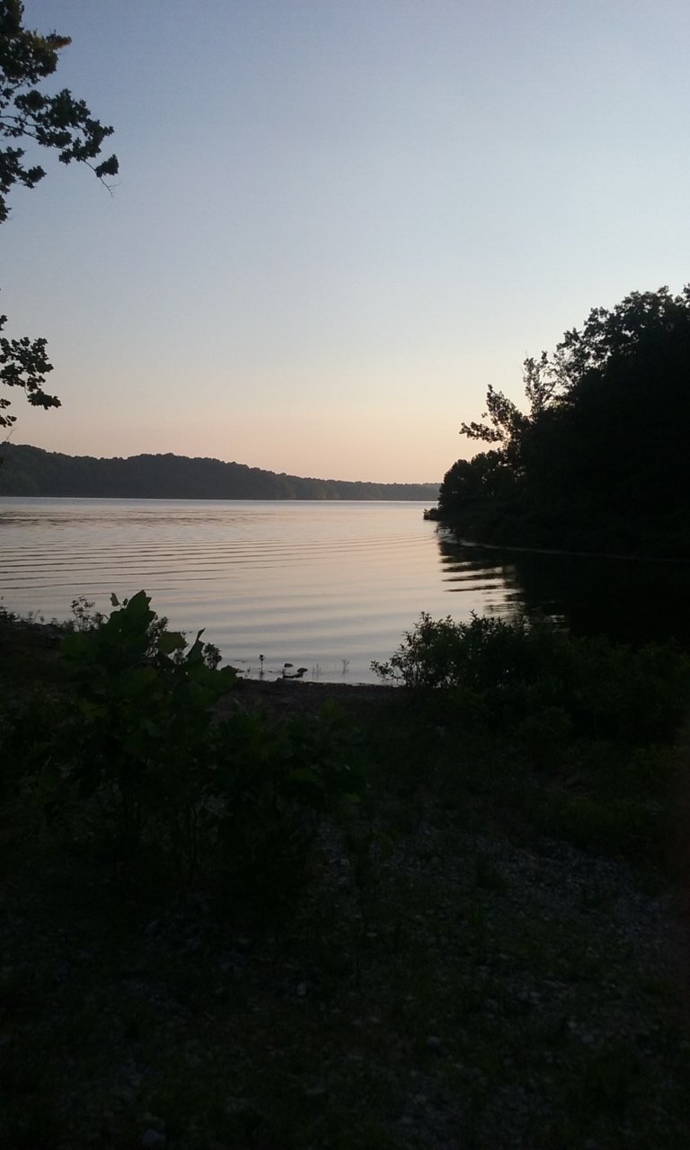 20170719_202025.jpg