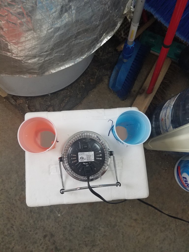 20170721_140324.jpg