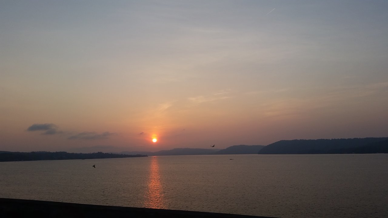 20170722_060600.jpg